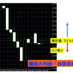 FXオプション売買：外れても損失を無くす【フルヘッジ戦略】　0921