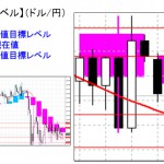 ■本日の重要目標値レベル：　ドル円　　1001