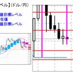 ■本日の重要目標値レベル： ドル円 　1224