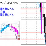 ■本日の重要目標値レベル：  ドル円  0113