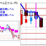 ■本日の重要目標値レベル： ドル円　0219