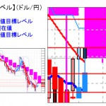 ■本日の重要目標値レベル： ドル円　　0229