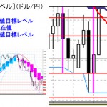 ■本日の重要目標値レベル： ドル円（プレミアムには注意が必要）　0205